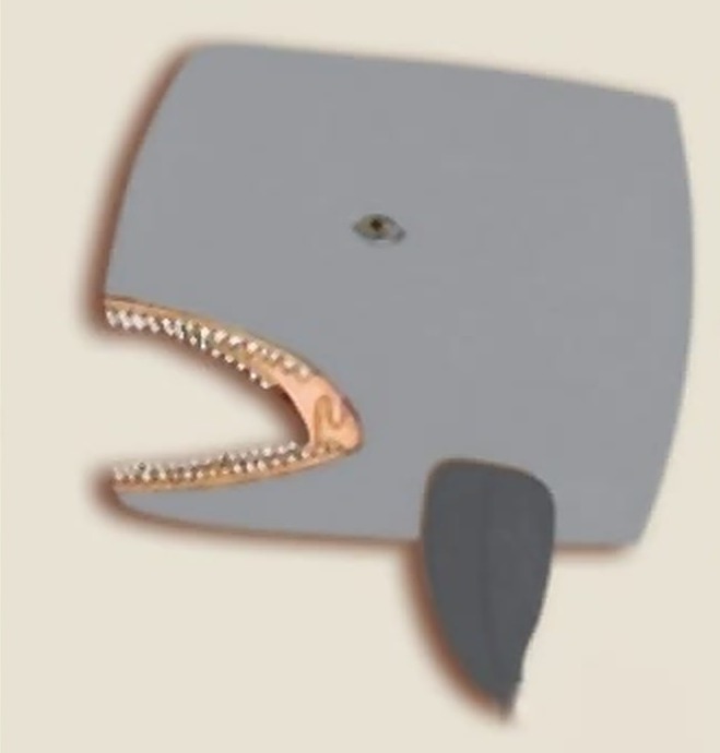 Cabeza de ballena gris
