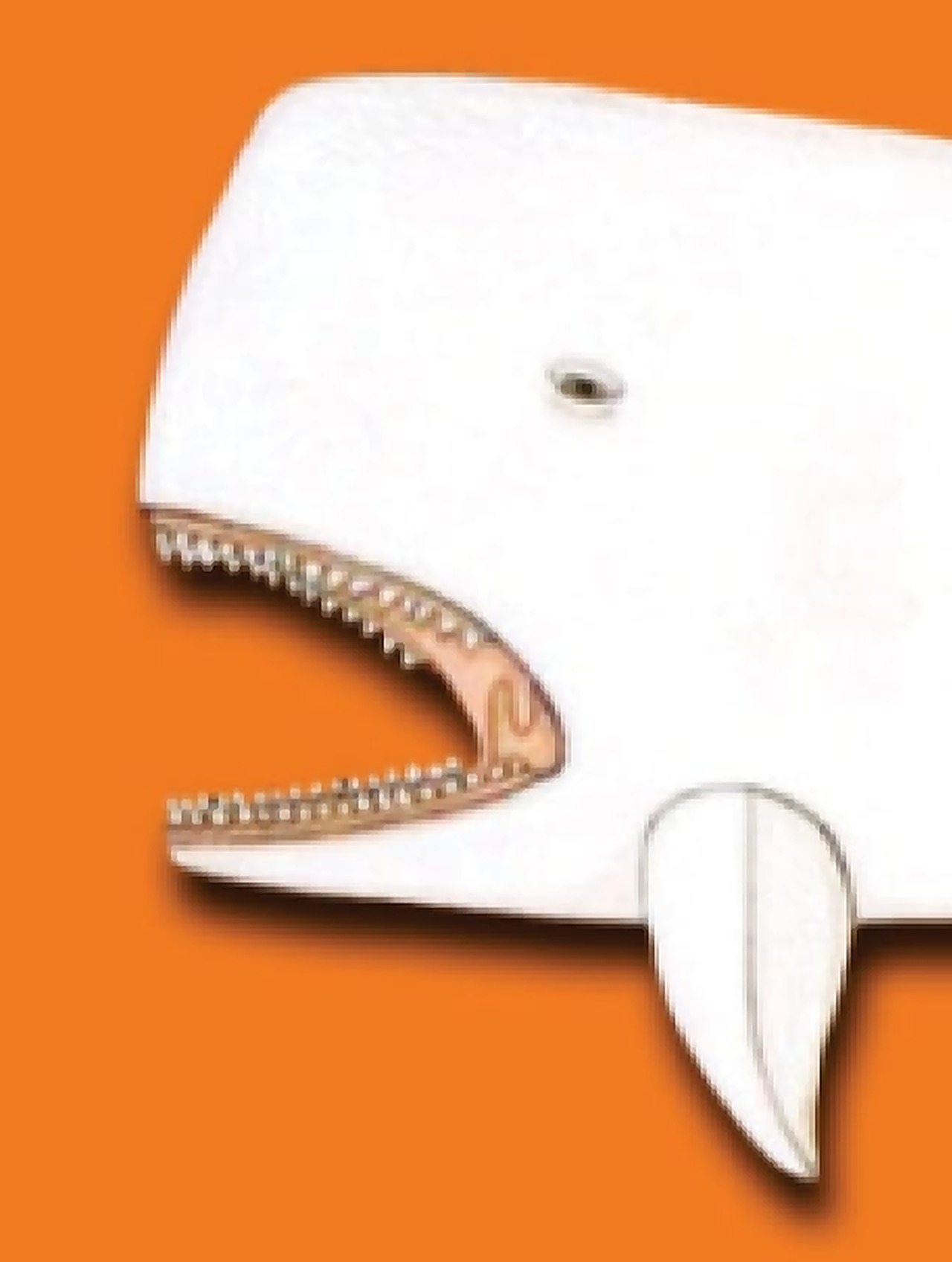 Cabeza de ballena blanca